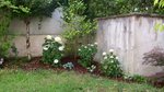 jardin-2010-6.jpg