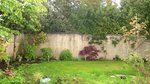 jardin-2010-7.jpg