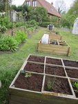 2012-05-04 potager 1x.jpg