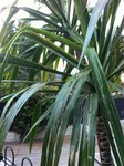 IMG_1041.JPG