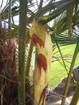 mms_img35762.jpg