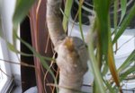 DSCN0809.JPG