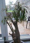 DSCN0810.JPG