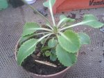 2012-05-05 17.55.07.jpg