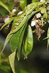 _DSC0712.jpg
