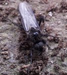 IMG_20120506_185229.jpg