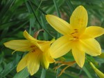 IMG_0209r.JPG