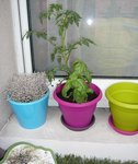 balcon 7.jpg