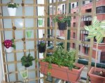 balcon 8.jpg