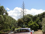 DSC01217_1.jpg