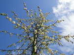 DSC01218_1.jpg