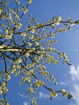 DSC01220_1.jpg