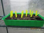 2012-05-08 semis x.jpg
