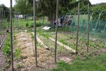 La stucture pour faire grimper les potimarrons et derrière les courgettes.
