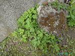 PICT5173.JPG
