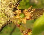 DSC00092.jpg