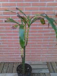 IMAG0212 - Copie.jpg