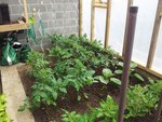 20120512_131532.jpg