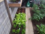 20120512_131547.jpg