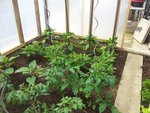20120512_131559.jpg