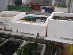 2012-05-12 18.11.56.jpg