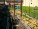 IMGP0653.JPG
