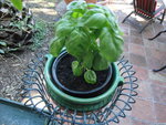 DSC01045.JPG