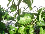 DSC05321.JPG