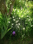 110424_jardin (16).JPG