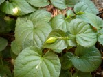 photo 022.jpg