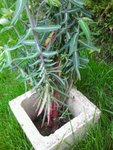 2012-05-08_20.43.44_2.jpg