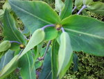 2012-05-08_20.43.57.jpg