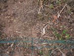 100_2233 1.jpg
