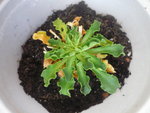 2012_05170052.JPG