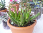 2012_05170051.JPG