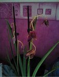 Photo01291.jpg
