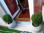 Entrée de mon balcon