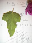PICT0023.JPG