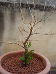 P1010676.JPG