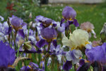 DSC_1567.JPG