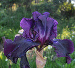 DSC_1585.JPG