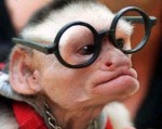 Aliénor et ses_lunettes.jpg