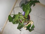 IMG_0033.JPG