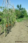 Photo 013.jpg