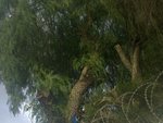 23052012062.jpg