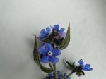 DSC03934.JPG