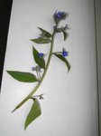 DSC03932.JPG