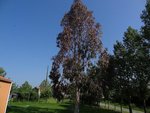 DSC00158.JPG