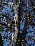 DSC00160.JPG