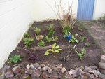 jardin3.JPG